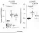 Fig. 87 - IL-11 ANTIBODIES