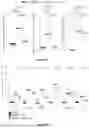 Fig. 88 - IL-11 ANTIBODIES