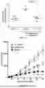 Fig. 91 - IL-11 ANTIBODIES