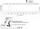 Fig. 09 - ANTIGEN-BINDING MOLECULE AND COMBINATION