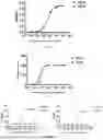 Fig. 02 - B7H6 ANTIBODY AND USE THEREOF