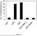 Fig. 23 - Method of modifying isoelectric point of antibody via amino acid substitution in CDR