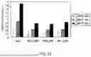 Fig. 33 - Method of modifying isoelectric point of antibody via amino acid substitution in CDR