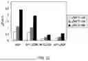 Fig. 34 - Method of modifying isoelectric point of antibody via amino acid substitution in CDR