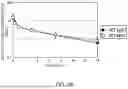 Fig. 40 - Method of modifying isoelectric point of antibody via amino acid substitution in CDR