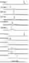 Fig. 44 - Method of modifying isoelectric point of antibody via amino acid substitution in CDR