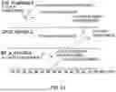 Fig. 63 - Method of modifying isoelectric point of antibody via amino acid substitution in CDR