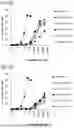 Fig. 04 - Bispecific antibody that binds to CD116 and CD131