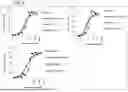 Fig. 07 - Bispecific antibody that binds to CD116 and CD131