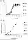 Fig. 09 - Bispecific antibody that binds to CD116 and CD131