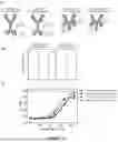 Fig. 29 - Novel TNFR2 Binding Molecules