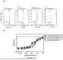 Fig. 30 - Novel TNFR2 Binding Molecules