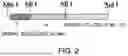 Fig. 03 - ANTIBODY SUBSTITUTING FOR FUNCTION OF BLOOD COAGULATION FACTOR VIII