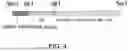 Fig. 04 - ANTIBODY SUBSTITUTING FOR FUNCTION OF BLOOD COAGULATION FACTOR VIII