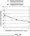 Fig. 29 - ANTIBODY SUBSTITUTING FOR FUNCTION OF BLOOD COAGULATION FACTOR VIII