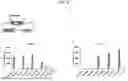 Fig. 10 - SYSTEMS, MICROORGANISMS, OR METHODS FOR WASTE PET VALORIZATION