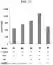 Fig. 13 - SYSTEMS, MICROORGANISMS, OR METHODS FOR WASTE PET VALORIZATION
