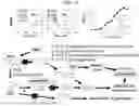Fig. 16 - SYSTEMS, MICROORGANISMS, OR METHODS FOR WASTE PET VALORIZATION
