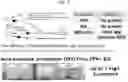 Fig. 18 - SYSTEMS, MICROORGANISMS, OR METHODS FOR WASTE PET VALORIZATION