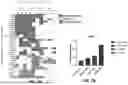 Fig. 28 - REAGENTS AND METHODS FOR PRODUCING ARTERIAL HEMOGENIC ENDOTHELIUM, HEMATOPOIETIC PROGENITORS, AND LYMPHOID CELLS THEREBY