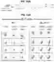 Fig. 32 - REAGENTS AND METHODS FOR PRODUCING ARTERIAL HEMOGENIC ENDOTHELIUM, HEMATOPOIETIC PROGENITORS, AND LYMPHOID CELLS THEREBY