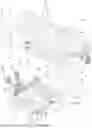 Fig. 01 - MACHINE FOR CONTROLLING THE SHAPE OF A REEL OF WEB PRODUCT