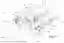 Fig. 09 - MACHINE FOR CONTROLLING THE SHAPE OF A REEL OF WEB PRODUCT