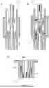 Fig. 09 - NEBULISER OUTLET