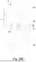 Fig. 43 - THERMAL DISSIPATION IN SEMICONDUCTOR DEVICES