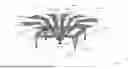Fig. 02 - Combination antenna for mobile communications and satellite reception