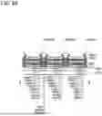 Fig. 49 - DISPLAY APPARATUS, DISPLAY MODULE, AND ELECTRONIC DEVICE