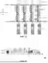 Fig. 08 - DISPLAY PANEL AND DISPLAY APPARATUS