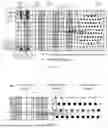 Fig. 06 - DISPLAY PANEL, DISPLAY MODULE, AND DISPLAY DEVICE