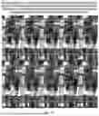 Fig. 33 - DISPLAY PANEL, DISPLAY MODULE, AND DISPLAY DEVICE