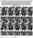 Fig. 41 - DISPLAY PANEL, DISPLAY MODULE, AND DISPLAY DEVICE