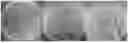 Fig. 01 - Mixed bacteria for promoting nodulation and nitrogen fixation of Robinia pseudoacacia and application thereof