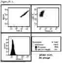 Fig. 06 - Bio-control methods for Xylella and Xanthomonas Bacteria