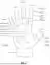 Fig. 07 - GLOVE AND MIRROR