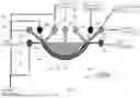 Fig. 07 - COMPUTATIONAL IN SILICO MODEL FOR CORNEA BARRIER