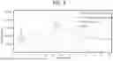 Fig. 02 - INHALABLE DRY POWDER FORMULATIONS COMPRISING ANGIOGENESIS INHIBITORS