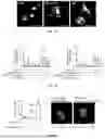 Fig. 02 - SYSTEMS AND METHODS FOR EXOSOME DELIVERY OF MICRORNAS FOR CELLULAR REPROGRAMMING