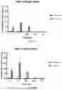 Fig. 06 - VORUCICLIB DOSING REGIMENS AND METHODS OF TREATMENT INCLUDING THE SAME