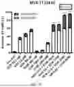 Fig. 07 - VORUCICLIB DOSING REGIMENS AND METHODS OF TREATMENT INCLUDING THE SAME