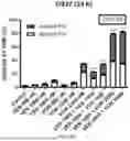 Fig. 08 - VORUCICLIB DOSING REGIMENS AND METHODS OF TREATMENT INCLUDING THE SAME