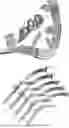 Fig. 01 - METHOD FOR TREATING NEUROLOGICAL DISEASES USING SUPRAMOLECULE POLYMER THERAPEUTICS
