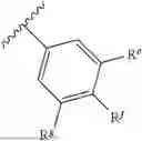 Fig. 14 - METHOD FOR TREATING NEUROLOGICAL DISEASES USING SUPRAMOLECULE POLYMER THERAPEUTICS