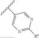Fig. 22 - METHOD FOR TREATING NEUROLOGICAL DISEASES USING SUPRAMOLECULE POLYMER THERAPEUTICS