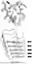 Fig. 397 - METHOD FOR TREATING NEUROLOGICAL DISEASES USING SUPRAMOLECULE POLYMER THERAPEUTICS