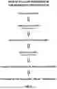 Fig. 09 - Compositions and methods for treating, preventing or reversing age associated inflammation and disorders