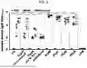 Fig. 04 - MULTIVALENT CHOLERA MULTIEPITOPE FUSION ANTIGEN (MEFA) AND METHODS OF USE